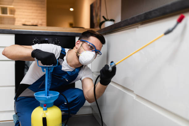 Trusted Blakely, PA Pest Control Experts