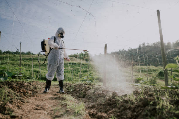Pest Prevention Services in Blakely, PA