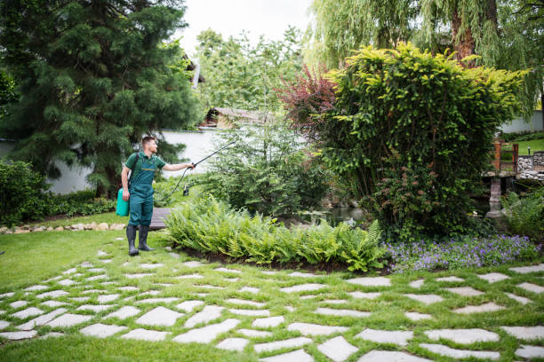 Best Pest Control for Businesses  in Blakely, PA