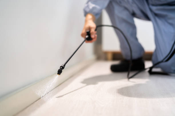 Pest Control Cost in Blakely, PA
