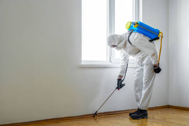 Best Local Pest Control Services  in Blakely, PA