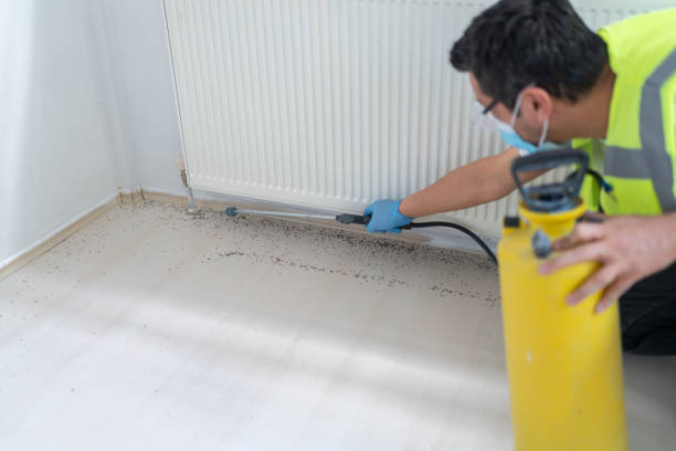 Best Cockroach Control Services  in Blakely, PA
